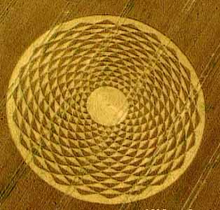 Intrcate designs appear in crop circles