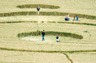people inside a crop circle