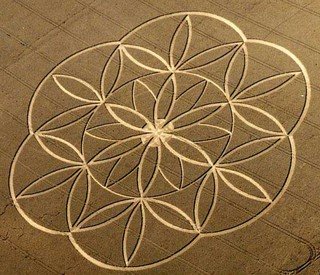 Crop Circle 16