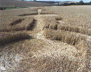 Close up of crop circle